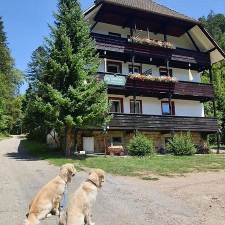 Waldblick Ferienwohnungen Bonndorf im Schwarzwald Kültér fotó