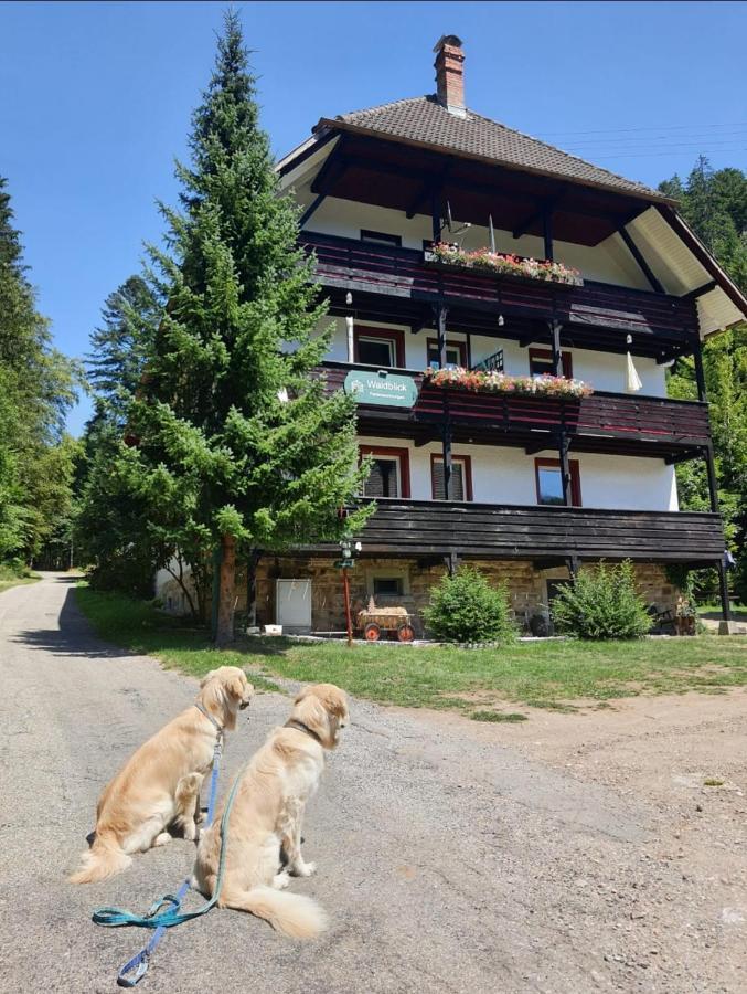Waldblick Ferienwohnungen Bonndorf im Schwarzwald Kültér fotó