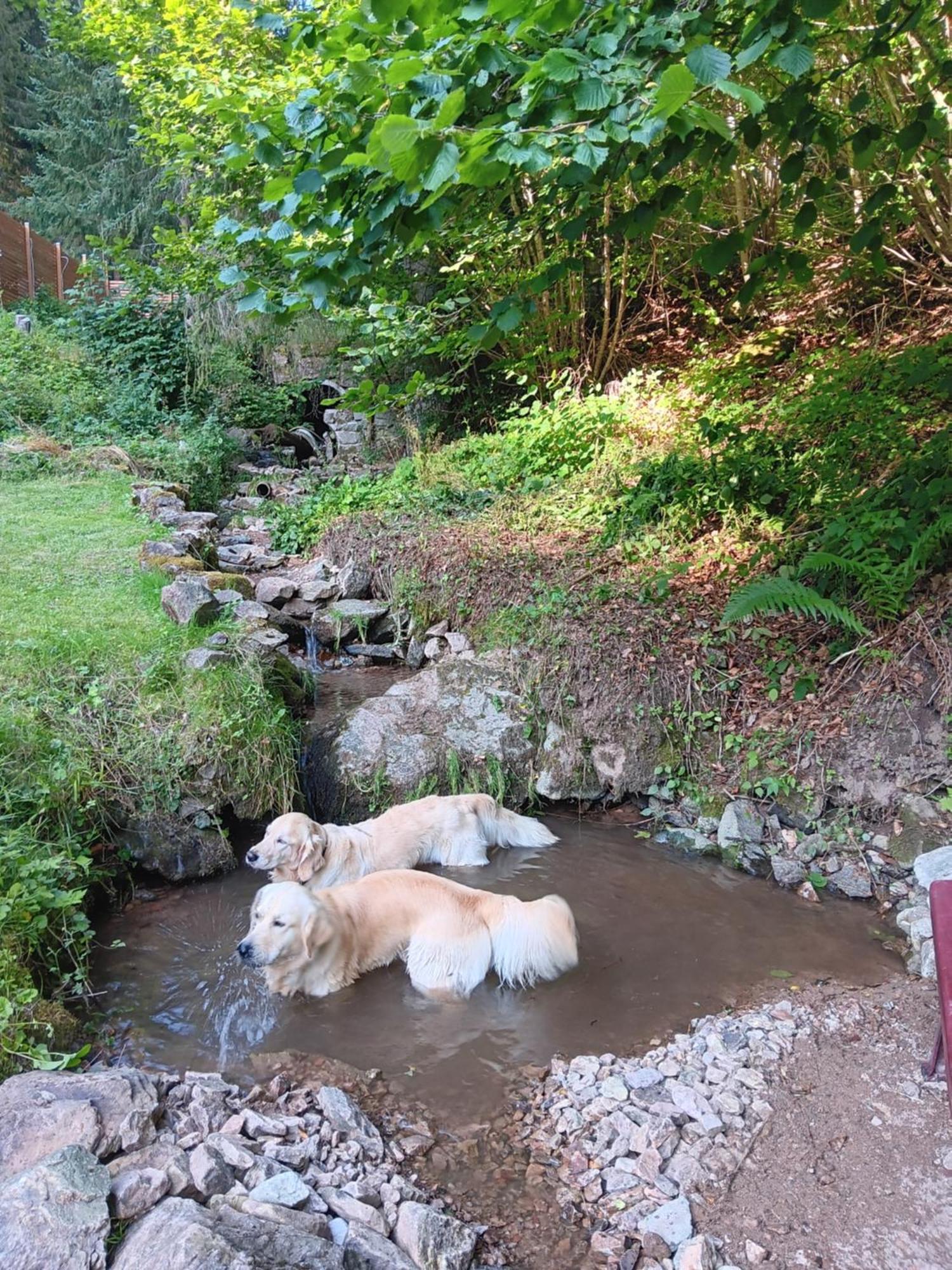 Waldblick Ferienwohnungen Bonndorf im Schwarzwald Kültér fotó